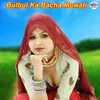 Bulbul Ka Bacha Mewati