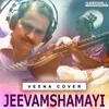 About Jeevamshamayi (Veena Cover) From "Theevandi" Song