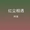 About 红尘相遇 Song