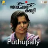 About Puthupally From "Sadhachara Committee" Song