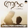 About Ambili Pon Chembilay From "Adam" Song