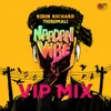 About Naadan Vibe (Vip Mix) Song