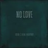 About No Love Song