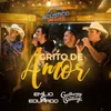 About Grito de Amor (Acústico de Luxo) [Ao Vivo] Song