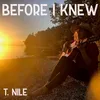 About Before I Knew Song