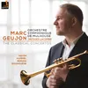 Concerto for Trumpet and Orchestra in C Major: No. 2, Andante