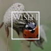 About Wish I Song