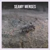 About Seamy Menses Song