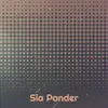 About Sia Pander Song