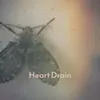 About Heart Drain Song