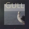 Gull