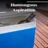 Humongous Aspiration