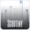 Scrutiny