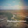 About Dephosphorylation Song