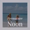 About Premature Noon Song