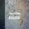 About Saccharine Animal Song