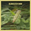 About Gloucester Dark Song