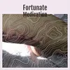 About Fortunate Medication Song