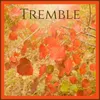 About Tremble Song