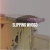 About Slipping Whoso Song