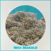 Wax Makalu