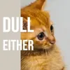 Dull Either