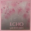 About Echo Laboratories Song