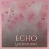 Echo Laboratories