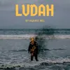 Ludah