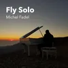 About Fly Solo Song