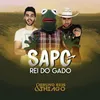 About Sapo Rei do Gado Song