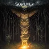 Soulfly XII