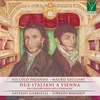 Grande Duo, Op. 11: I. Allegro moderato Transcribed by Anton Diabelli