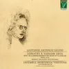 Sonata, vol. I: II. Allegro