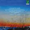 3 Fantasiestücke, Op. 111: No. 3 in C Minor, Kräftig und sehr markiert Transcription by Gabriele Dal Santo e Luigi Marasca