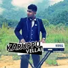 About Karuppu Vellai Song