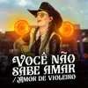 Você Não Sabe Amar / Amor de Violeiro