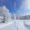 冰山上的雪莲