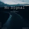 No Signal