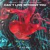 About Can't Live Without You Song