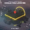 About Could You Love Me Song