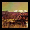 About Wasteland Song