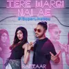 About Tere Wargi Nai Ae Song