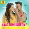 About Kaattumundedye From"Dhamaka" Song