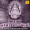 Sree Chamundeshwari