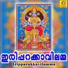 Iripparakkavilamma