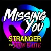 Missing You Radio Single Remix