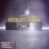 Moonlight Shadow Alternate Radio Version