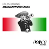 Mexican Word Sauce Orginal Mix