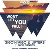 Won't Let You Fall Original Mix